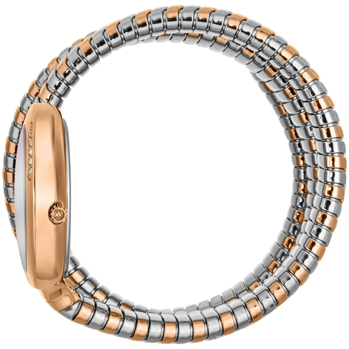 Just Cavalli Watch For Women JC1L228M0085