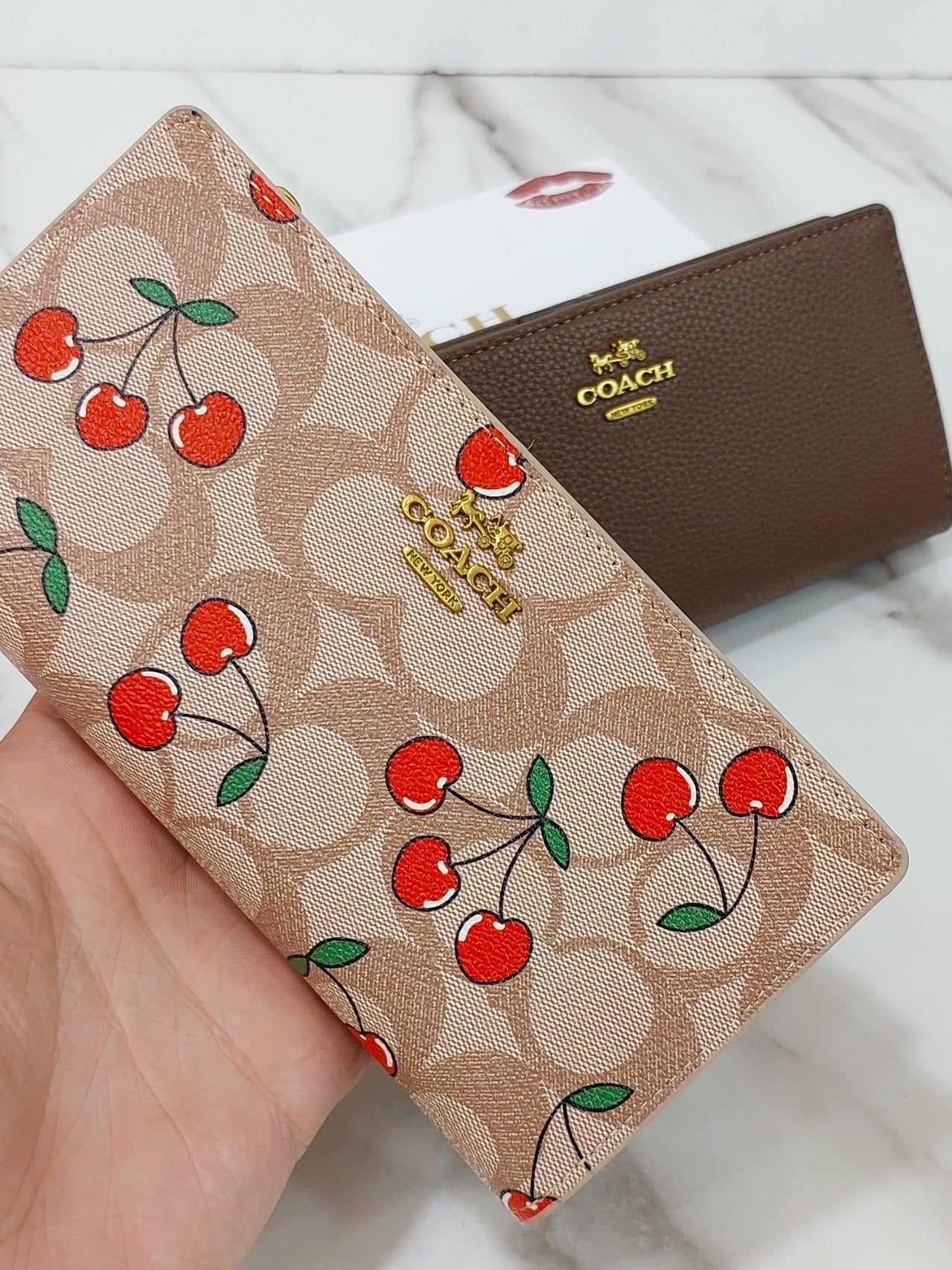 محفظة نسائية بتصميم Coach العصري.